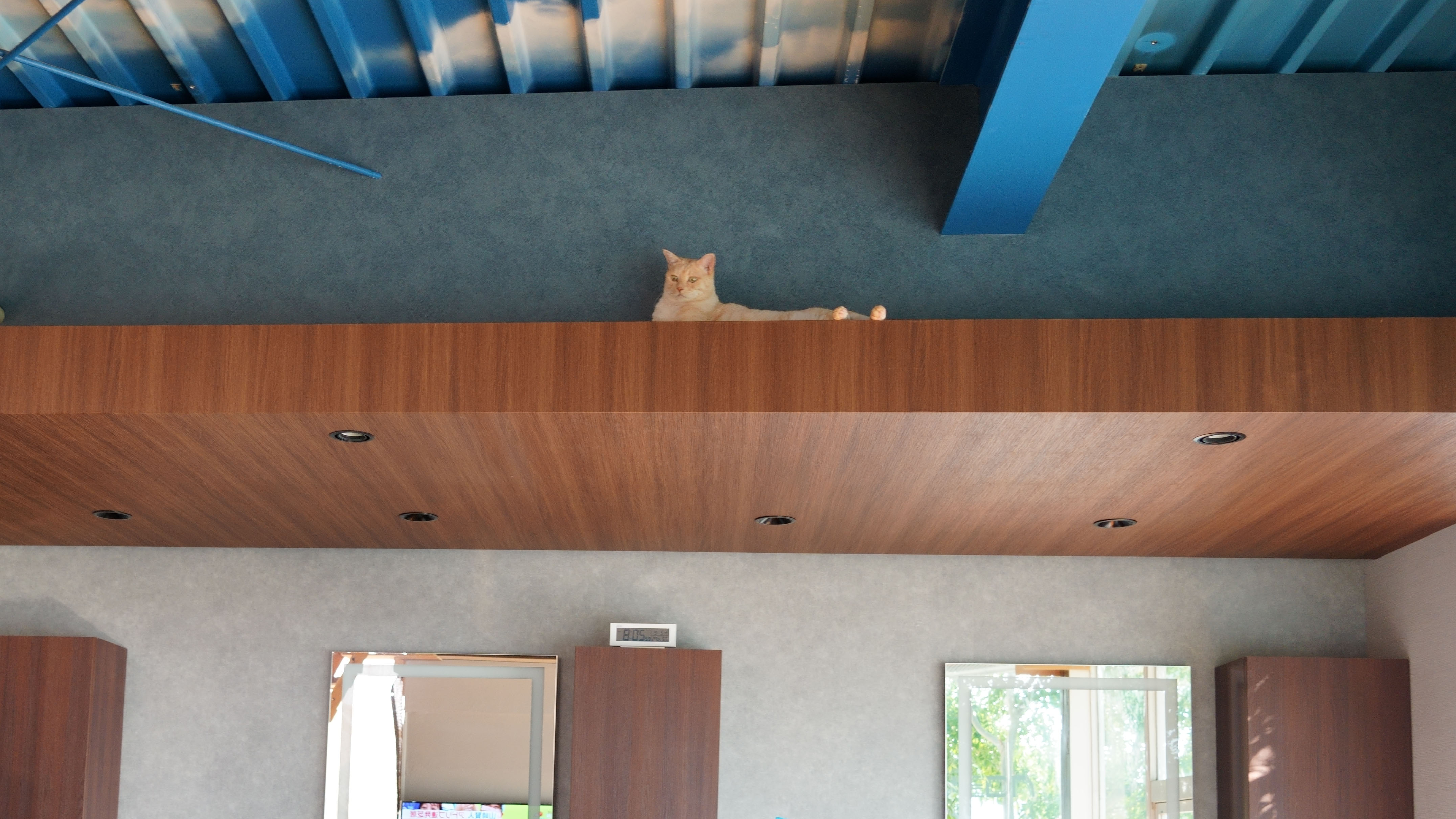 HAIR DESIGN UEDA - �}�X�R�b�g�L�Љ�I