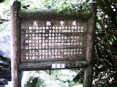 劔